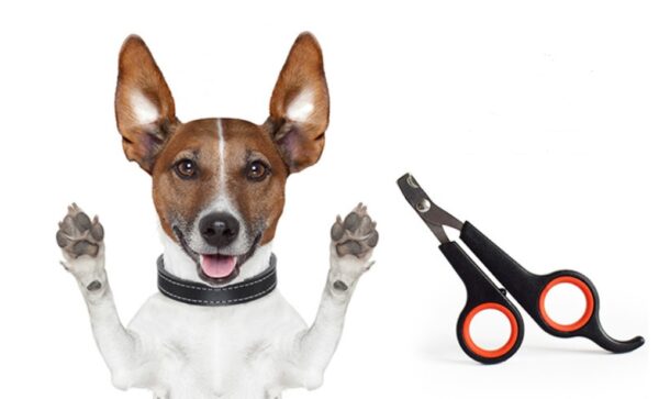 Dog Nail Clipper Pet Nail Scissors - Image 3