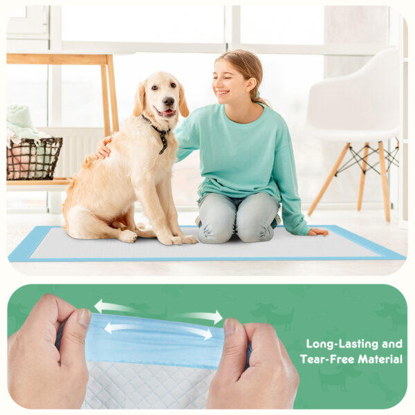 Puppy Pads, Leak-proof Quick-drying Disposable Dog Pads, Absorbent Dog Pee Pads - Image 2